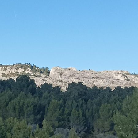 Chambre D'Hote Au Coeur Des Alpilles Mouries Esterno foto