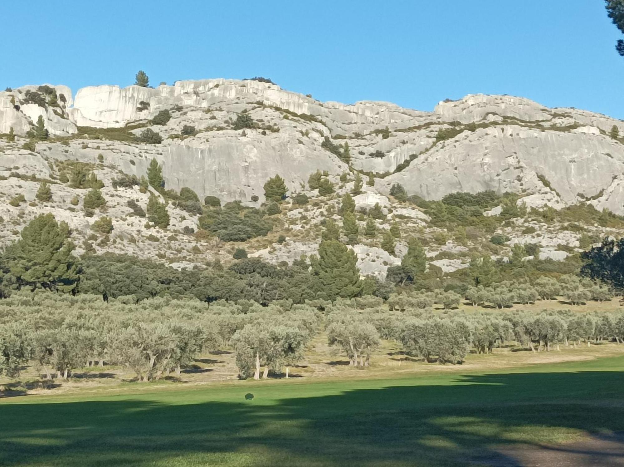 Chambre D'Hote Au Coeur Des Alpilles Mouries Esterno foto